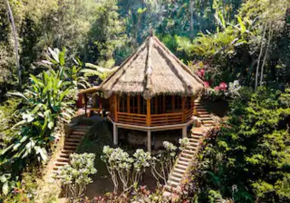 Bali Jungle Taksu